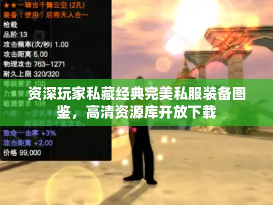 资深玩家私藏经典完美私服装备图鉴，高清资源库开放下载