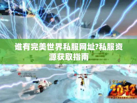 谁有完美世界私服网址?私服资源获取指南