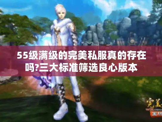 55级满级的完美私服真的存在吗?三大标准筛选良心版本 55级满级的完美私服真的存在吗?三大标准筛选良心版本