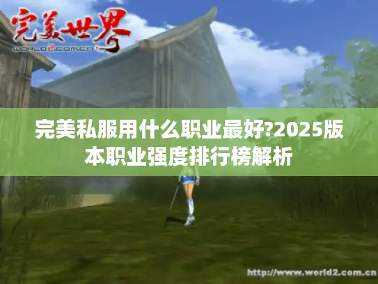 完美私服用什么职业最好?2025版本职业强度排行榜解析