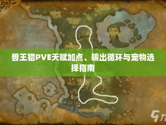 兽王猎PVE天赋加点、输出循环与宠物选择指南