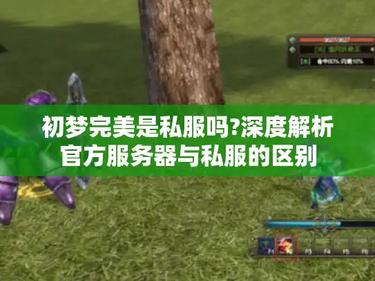 初梦完美是私服吗?深度解析官方服务器与私服的区别 初梦完美是私服吗?深度解析官方服务器与私服的区别