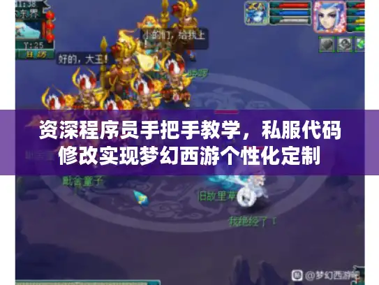资深程序员手把手教学，私服代码修改实现梦幻西游个性化定制