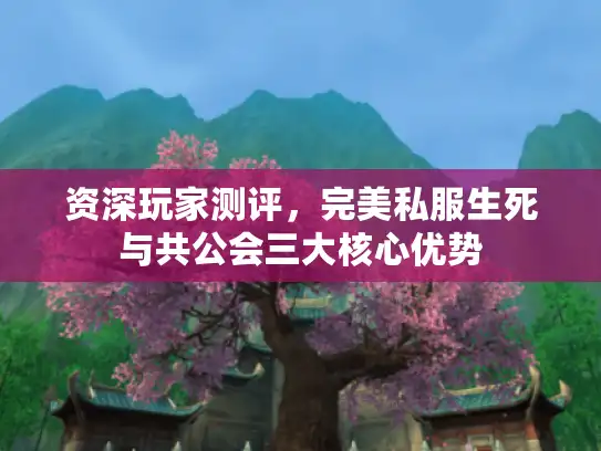 资深玩家测评,完美私服生死与共公会三大核心优势 资深玩家测评,完美私服生死与共公会三大核心优势