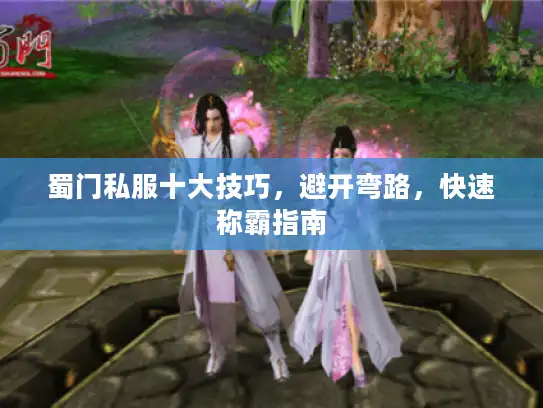 蜀门私服十大技巧，避开弯路，快速称霸指南