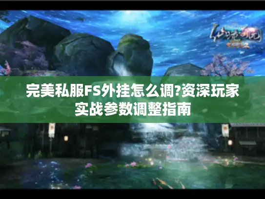 完美私服FS外挂怎么调?资深玩家实战参数调整指南