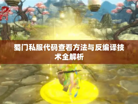 蜀门私服代码查看方法与反编译技术全解析