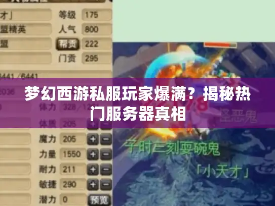 梦幻西游私服玩家爆满？揭秘热门服务器真相