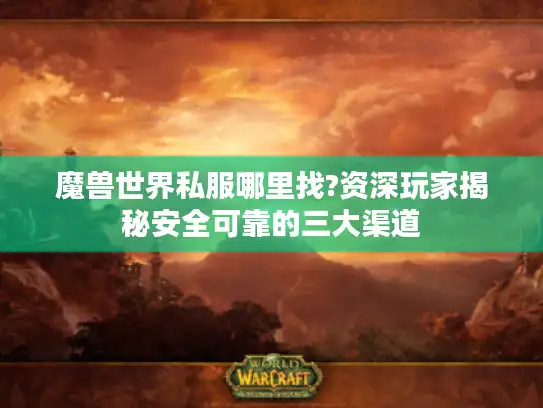 魔兽世界私服哪里找?资深玩家揭秘安全可靠的三大渠道