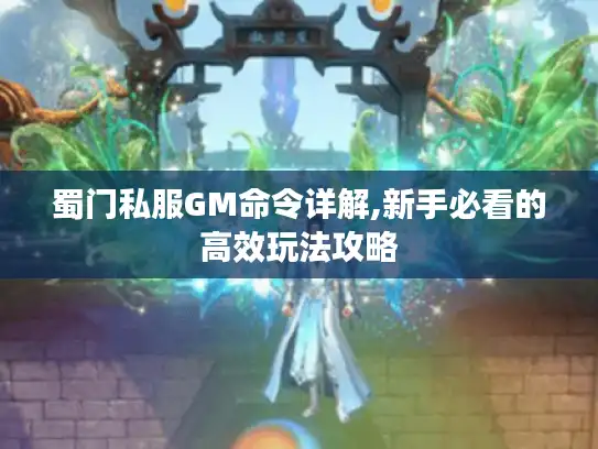 蜀门私服GM命令详解,新手必看的高效玩法攻略