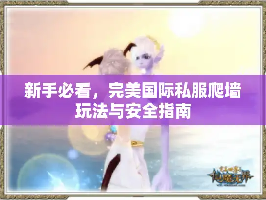 新手必看,完美国际私服爬墙玩法与安全指南 新手必看,完美国际私服爬墙玩法与安全指南