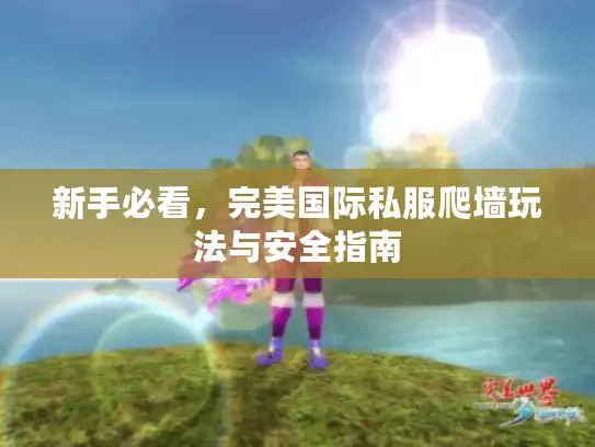 新手必看,完美国际私服爬墙玩法与安全指南 新手必看,完美国际私服爬墙玩法与安全指南