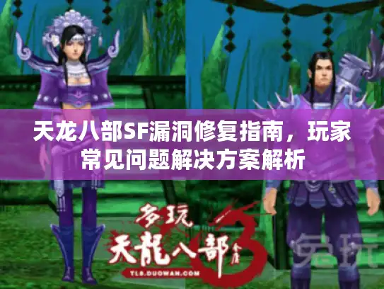 天龙八部SF漏洞修复指南,玩家常见问题解决方案解析 天龙八部SF漏洞修复指南,玩家常见问题解决方案解析