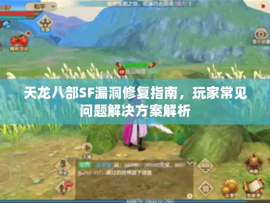 天龙八部SF漏洞修复指南,玩家常见问题解决方案解析 天龙八部SF漏洞修复指南,玩家常见问题解决方案解析