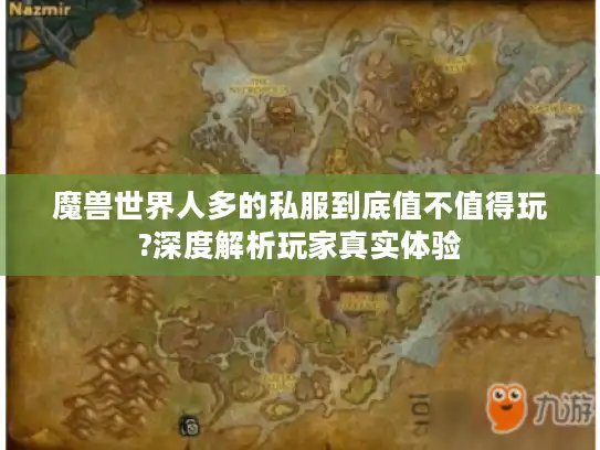魔兽世界人多的私服到底值不值得玩?深度解析玩家真实体验