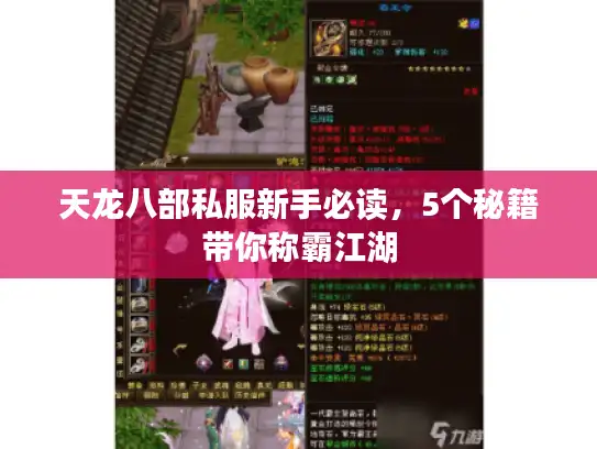 天龙八部私服新手必读，5个秘籍带你称霸江湖