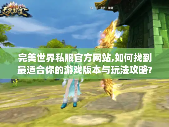 完美世界私服官方网站,如何找到最适合你的游戏版本与玩法攻略?