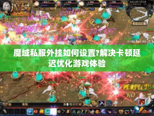 魔域私服外挂如何设置?解决卡顿延迟优化游戏体验