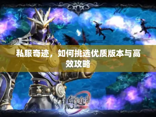 私服奇迹，如何挑选优质版本与高效攻略