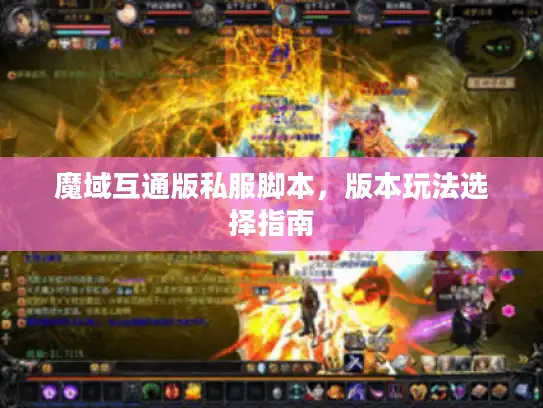 魔域互通版私服脚本，版本玩法选择指南