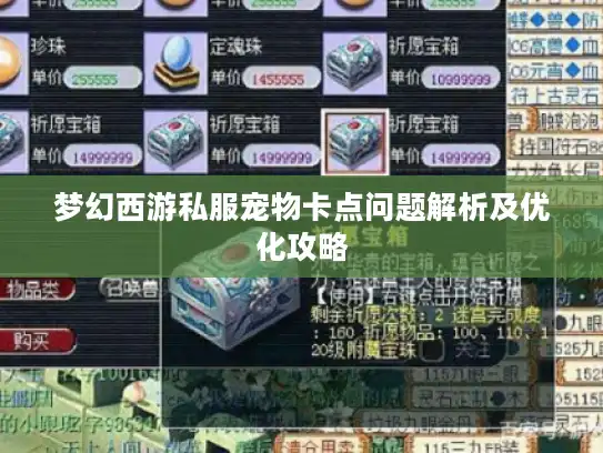 梦幻西游私服宠物卡点问题解析及优化攻略