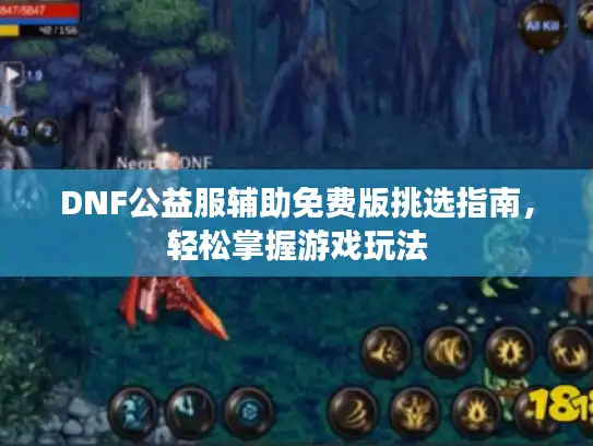 DNF公益服辅助免费版挑选指南，轻松掌握游戏玩法