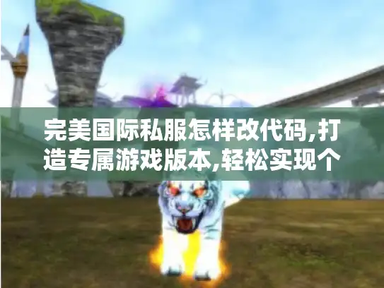 完美国际私服怎样改代码,打造专属游戏版本,轻松实现个性化玩法