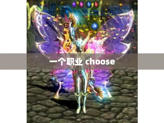 一个职业 choose