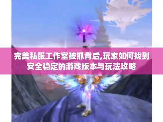 完美私服工作室被抓背后,玩家如何找到安全稳定的游戏版本与玩法攻略