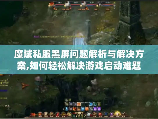 魔域私服黑屏问题解析与解决方案,如何轻松解决游戏启动难题