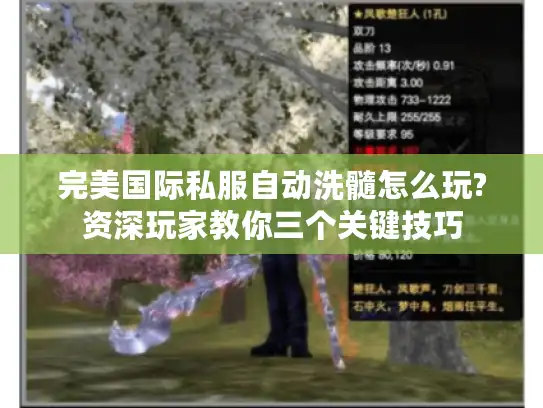 完美国际私服自动洗髓怎么玩?资深玩家教你三个关键技巧