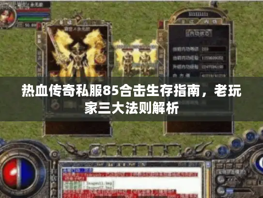 热血传奇私服85合击生存指南,老玩家三大法则解析 热血传奇私服85合击生存指南,老玩家三大法则解析