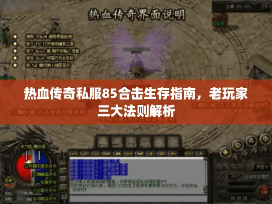 热血传奇私服85合击生存指南,老玩家三大法则解析 热血传奇私服85合击生存指南,老玩家三大法则解析
