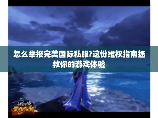 怎么举报完美国际私服?这份维权指南拯救你的游戏体验 怎么举报完美国际私服?这份维权指南拯救你的游戏体验