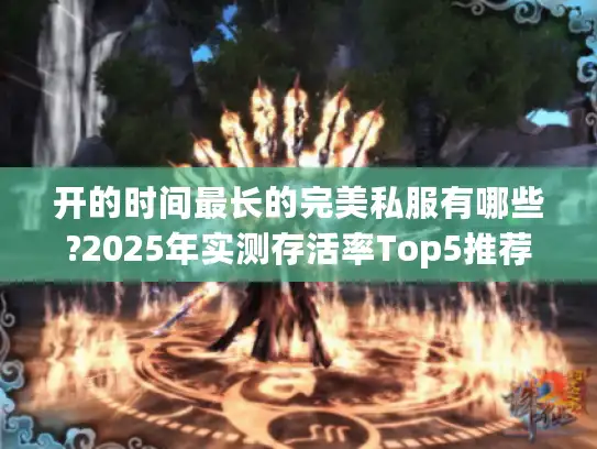 开的时间最长的完美私服有哪些?2025年实测存活率Top5推荐