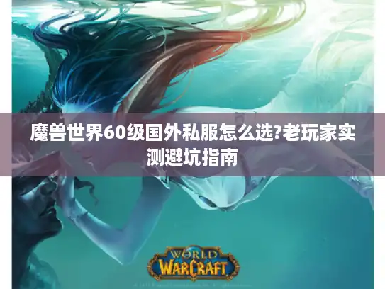魔兽世界60级国外私服怎么选?老玩家实测避坑指南