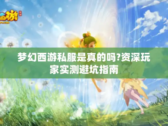 梦幻西游私服是真的吗?资深玩家实测避坑指南