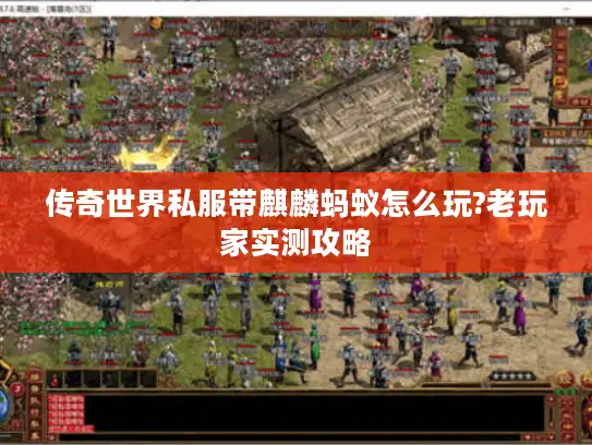 传奇世界私服带麒麟蚂蚁怎么玩?老玩家实测攻略 传奇世界私服带麒麟蚂蚁怎么玩?老玩家实测攻略