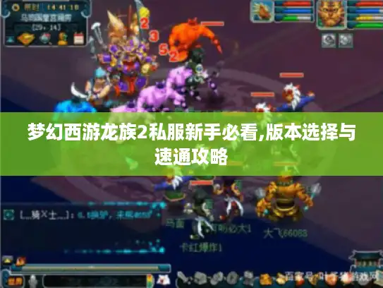 梦幻西游龙族2私服新手必看,版本选择与速通攻略