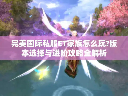 完美国际私服ET家族怎么玩?版本选择与进阶攻略全解析