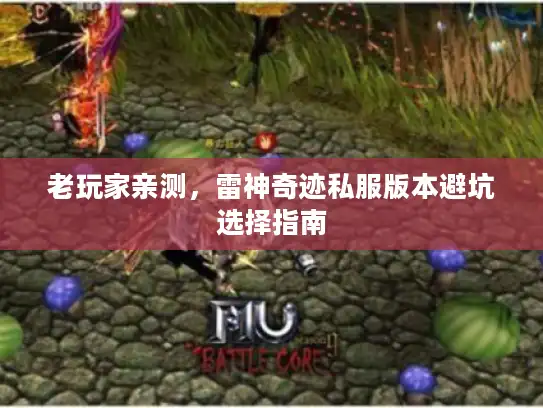 老玩家亲测，雷神奇迹私服版本避坑选择指南