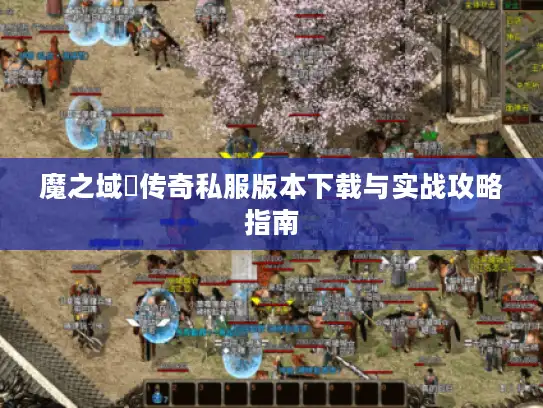 魔之域寵传奇私服版本下载与实战攻略指南