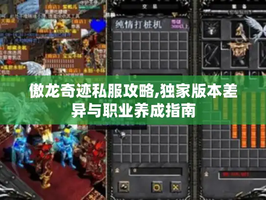 傲龙奇迹私服攻略,独家版本差异与职业养成指南