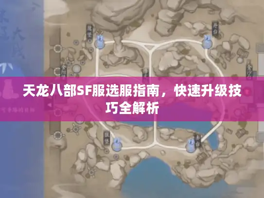 天龙八部SF服选服指南，快速升级技巧全解析