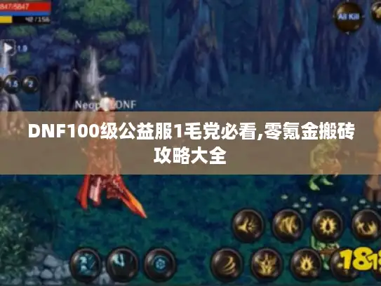 DNF100级公益服1毛党必看,零氪金搬砖攻略大全