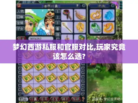 梦幻西游私服和官服对比,玩家究竟该怎么选?
