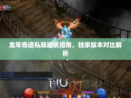 龙年奇迹私服避坑指南，独家版本对比解析