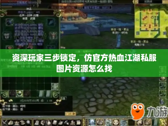 资深玩家三步锁定，仿官方热血江湖私服图片资源怎么找