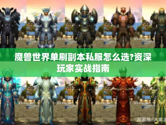 魔兽世界单刷副本私服怎么选?资深玩家实战指南