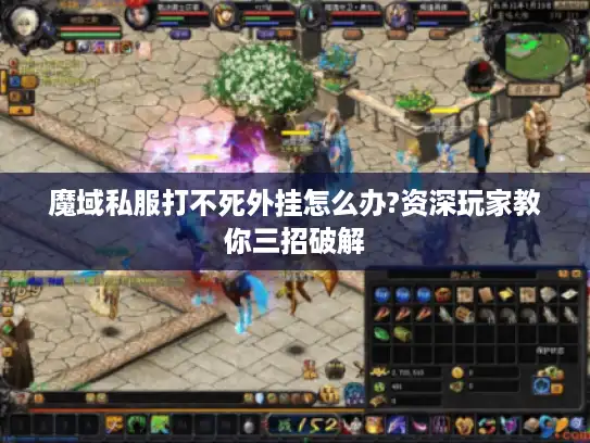 魔域私服打不死外挂怎么办?资深玩家教你三招破解